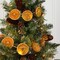 10 Ft Dried Orange Slice Fall Christmas Garland,Fall Decor - Christmas Decorations